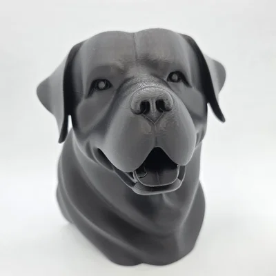 Bust Rottweiler Vui Vẻ (Rottweiler Bust Happy)