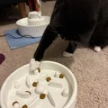 Tô Ăn Chậm Cho Mèo (Cat Slow Feeder Bowl) - Thumbnail 3