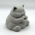 Chonky Donut Kitten – Bé Mèo Donut Tròn Ủm Dễ Thương - Thumbnail 3