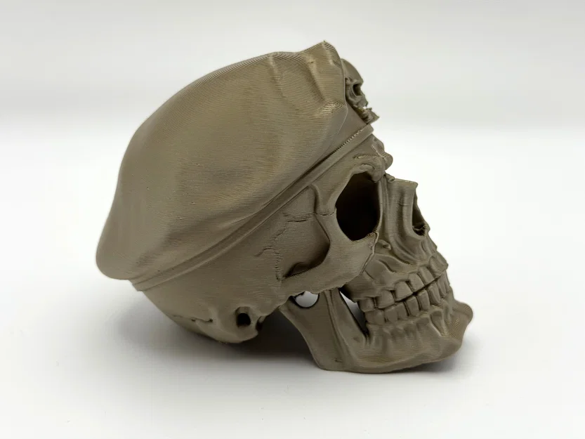 Skeletal Skull (Sọ Xương) – Mẫu trang trí nổi bật - Image 4