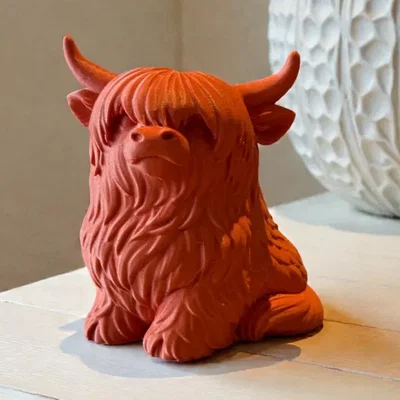 Hamish – Chú Bò Highland Dễ Thương