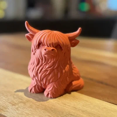 Hamish – Chú Bò Highland Dễ Thương