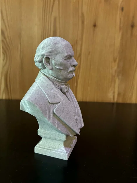 Allan Kardec (Hyppolite Léon Denizard Rivail) — Tượng bán thân - Image 4