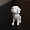 Tái Hiện Nghệ Thuật: Beagle Nhỏ - Thumbnail 2