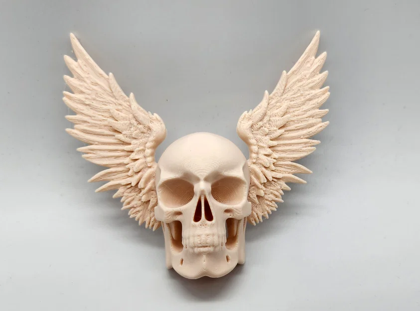 Mô hình hộp sọ có cánh Winged Skull trang trí tường độc đáo - Image 1