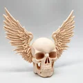 Mô hình hộp sọ có cánh Winged Skull trang trí tường độc đáo - Thumbnail 2