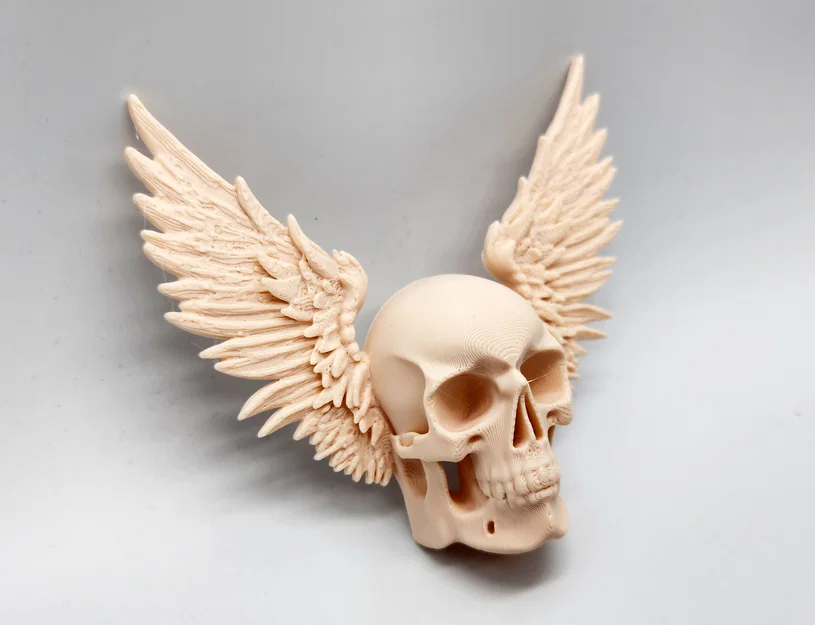 Mô hình hộp sọ có cánh Winged Skull trang trí tường độc đáo - Image 3