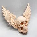 Mô hình hộp sọ có cánh Winged Skull trang trí tường độc đáo - Thumbnail 3