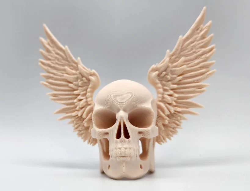 Mô hình hộp sọ có cánh Winged Skull trang trí tường độc đáo - Image 4