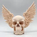 Mô hình hộp sọ có cánh Winged Skull trang trí tường độc đáo - Thumbnail 4
