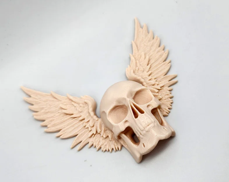 Mô hình hộp sọ có cánh Winged Skull trang trí tường độc đáo - Image 5