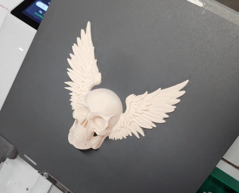 Mô hình hộp sọ có cánh Winged Skull trang trí tường độc đáo - Image 7