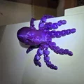 Magnetic Rocktopus – Rocktopus gắn nam châm - Thumbnail 3