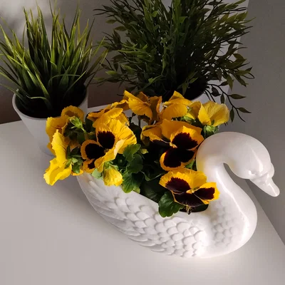 Chậu hoa thiên nga 3D (Easter Flowerpot White Swan) độc đáo