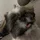 rndavis_3373403
