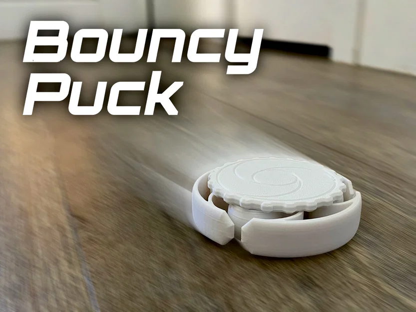 Bouncy Puck - Image 1