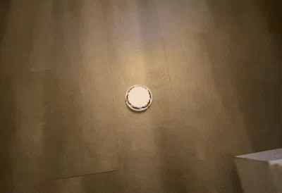 Bouncy Puck - Image 2