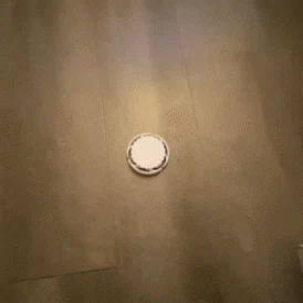 Bouncy Puck