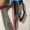 Móc treo tường dây dắt & vòng cổ chó kèm vòng Snap Hook - Thumbnail 1