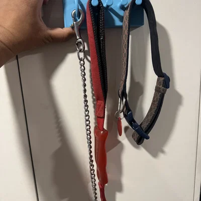 Móc treo tường dây dắt & vòng cổ chó kèm vòng Snap Hook