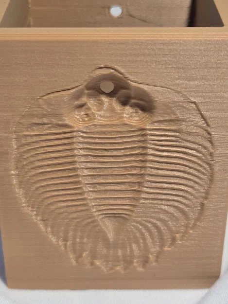 Ống cắm bút Trilobite Fossil Relief in 3D cực chất cho bàn làm việc - Image 2