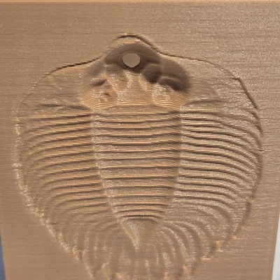 Ống cắm bút Trilobite Fossil Relief in 3D cực chất cho bàn làm việc