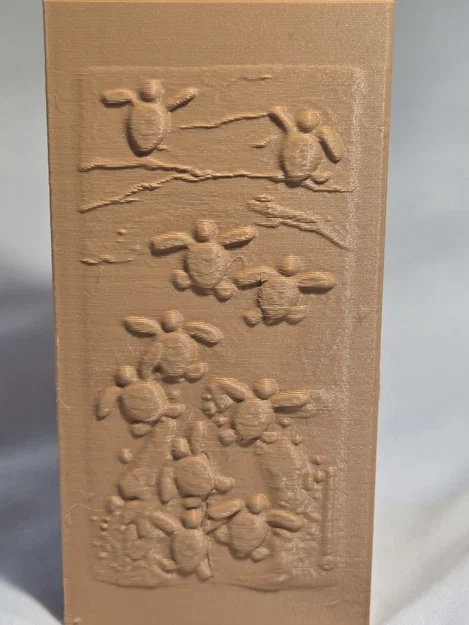 Hộp Chứa Cảnh Rùa Biển Con Mới Nở - Image 2
