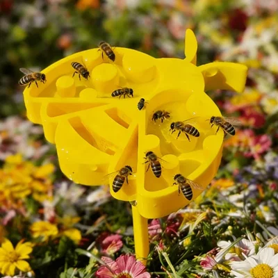 Máng nước 3D Bee drinker - Giải pháp tiếp nước an toàn cho ong mật