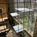 Kệ treo 3D cho chuồng mèo (Catio) – Thiết kế leo trèo thông minh - Thumbnail 1