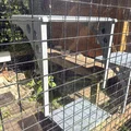 Kệ treo 3D cho chuồng mèo (Catio) – Thiết kế leo trèo thông minh - Thumbnail 2