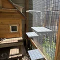 Kệ treo 3D cho chuồng mèo (Catio) – Thiết kế leo trèo thông minh - Thumbnail 3