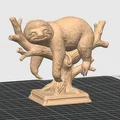 Mô hình chú lười ngủ trên cành cây - Trang trí 3D dễ thương - Thumbnail 2