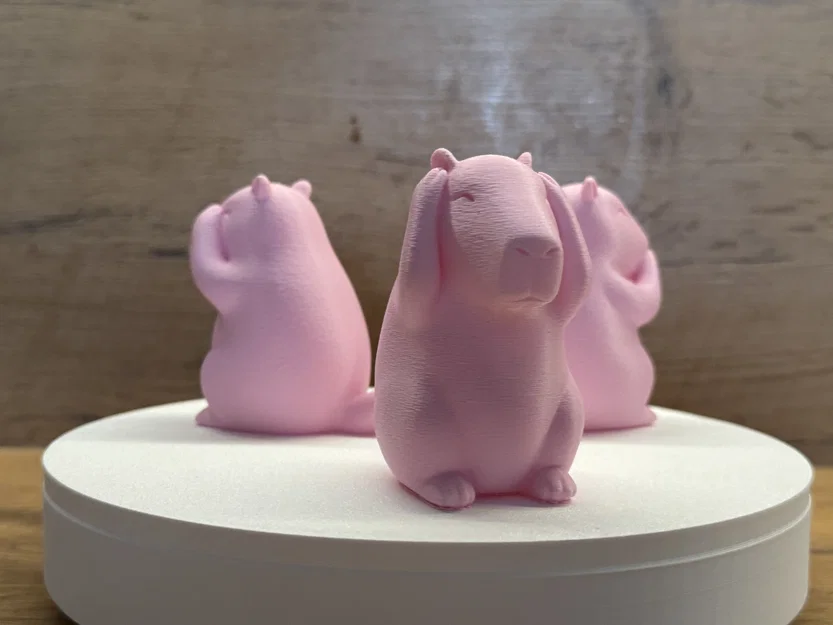 Bộ 3 Capybara – Không Thấy, Không Nghe, Không Nói Điều Xấu - Image 2