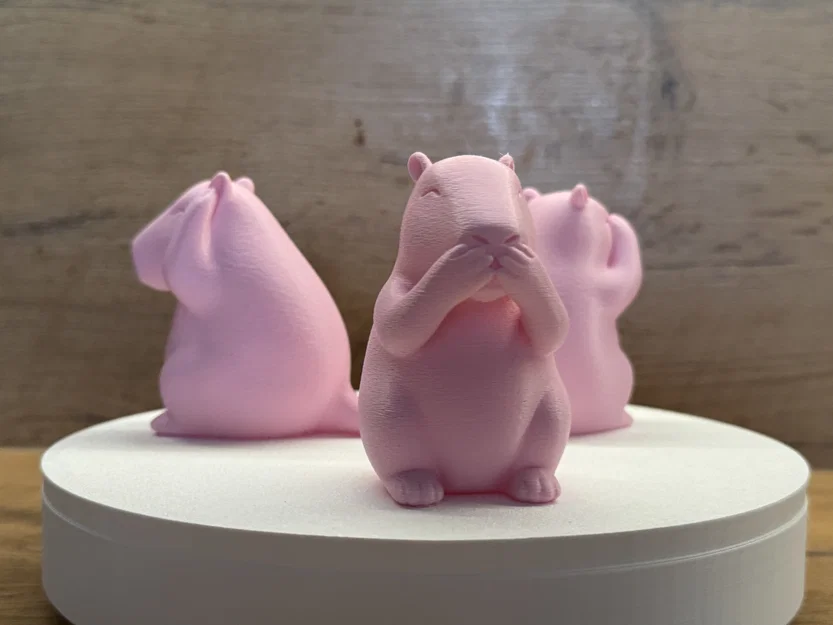 Bộ 3 Capybara – Không Thấy, Không Nghe, Không Nói Điều Xấu - Image 3