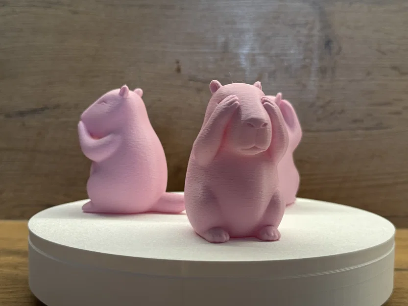 Bộ 3 Capybara – Không Thấy, Không Nghe, Không Nói Điều Xấu - Image 4