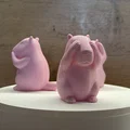 Bộ 3 Capybara – Không Thấy, Không Nghe, Không Nói Điều Xấu - Thumbnail 4