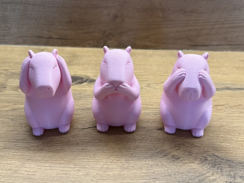 Bộ 3 Capybara – Không Thấy, Không Nghe, Không Nói Điều Xấu - Image 5