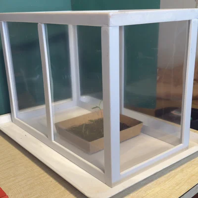 Nhà kính mini để bàn - Mô hình 3D cho người yêu cây cảnh