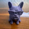 Mô hình chú chó Bull Pháp đeo kính đáng yêu để in 3D - Thumbnail 2