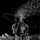 DarkHavoc_586184
