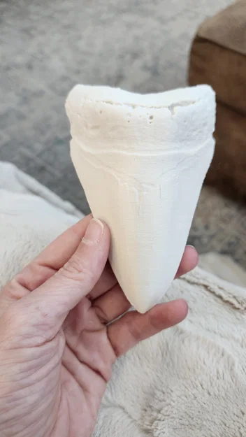 Mô hình 3D hóa thạch răng cá mập Megalodon siêu chi tiết - Image 1