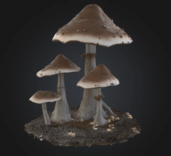 Nấm Cao Làm Đạo Cụ TTRPG (Tall Mushroom Prop TTRPG) - Image 1