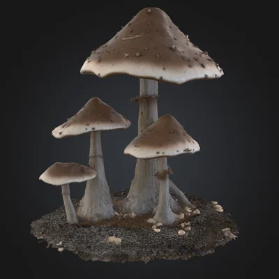 Nấm Cao Làm Đạo Cụ TTRPG (Tall Mushroom Prop TTRPG)