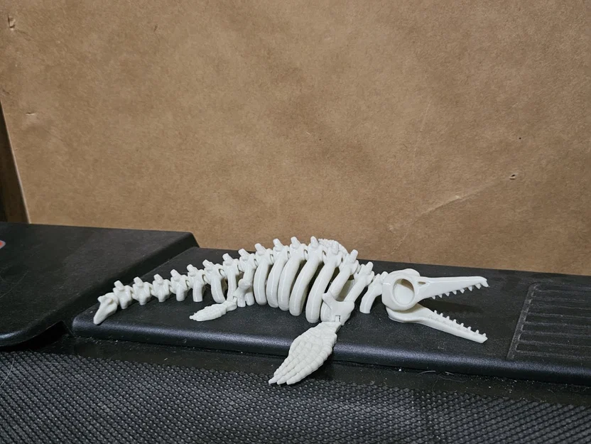 Mô hình xương Ichthyosaur khớp nối linh hoạt in 3D ấn tượng - Image 1