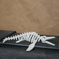 Mô hình xương Ichthyosaur khớp nối linh hoạt in 3D ấn tượng - Thumbnail 1