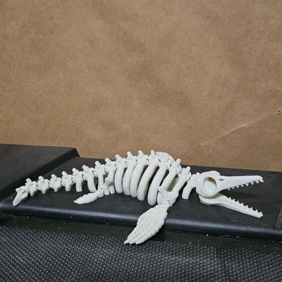 Mô hình xương Ichthyosaur khớp nối linh hoạt in 3D ấn tượng