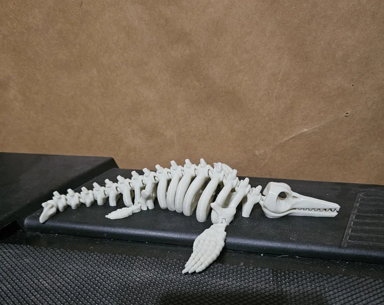 Mô hình xương Ichthyosaur khớp nối linh hoạt in 3D ấn tượng - Image 2