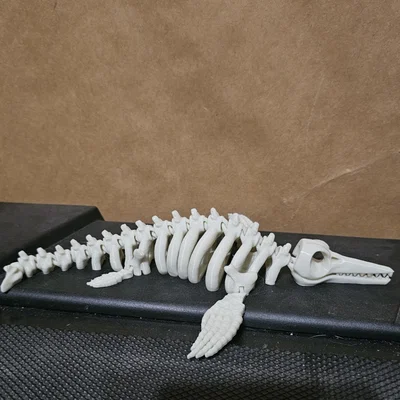 Mô hình xương Ichthyosaur khớp nối linh hoạt in 3D ấn tượng