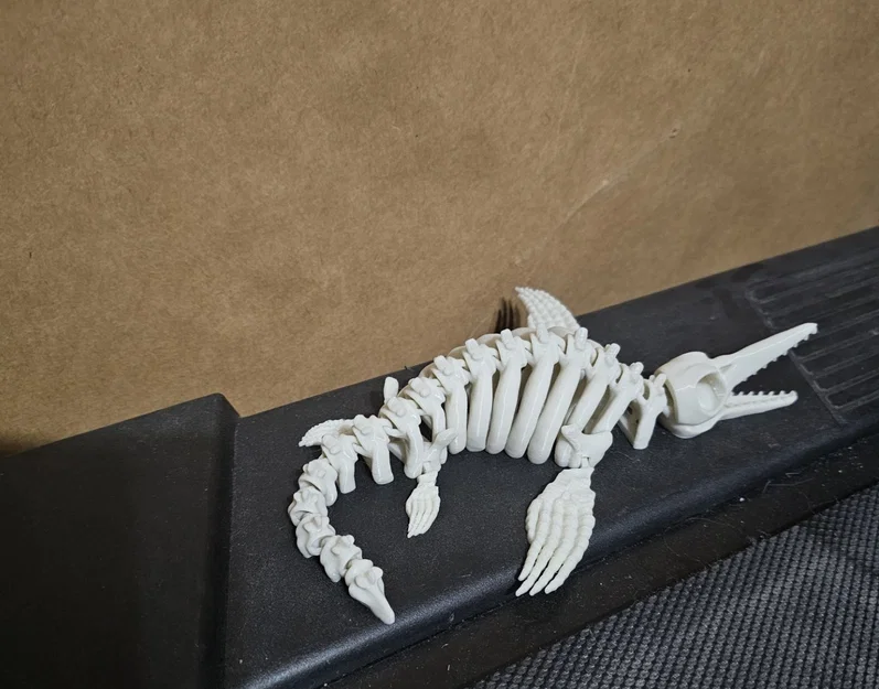 Mô hình xương Ichthyosaur khớp nối linh hoạt in 3D ấn tượng - Image 3