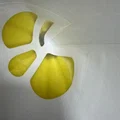 Phễu Resin Cải Tiến (A BETTER RESIN FUNNEL) - Thumbnail 3